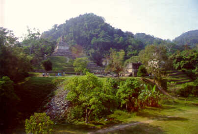 palenque_vista.JPG