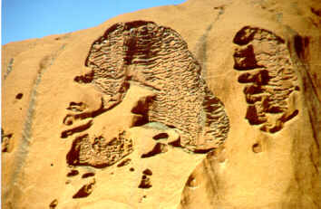 ayers_rock_brain.JPG (15400 byte)