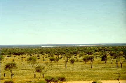 bush.JPG (14360 byte)