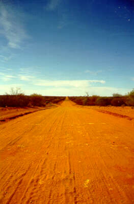 bush_strada.JPG