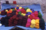 tarambuco1.jpg (40087 byte)