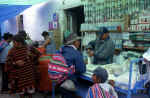 tarambuco2.jpg (55355 byte)