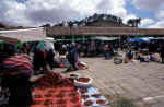 tarambuco3.jpg (52054 byte)