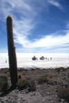 uyuni_islap1.jpg (65052 byte)