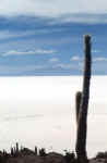 uyuni_salar3.jpg (43179 byte)
