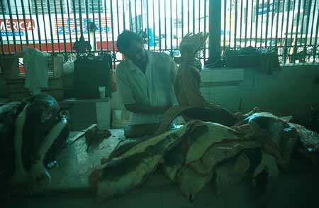 Manaus market