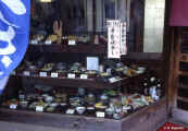 cibo_plastica1.jpg (58495 byte)