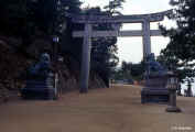 miyajima_cancello.jpg (51785 byte)