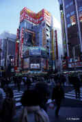 tokio_shinjuku1.jpg (69311 byte)