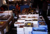 tokio_tsukiji_pesce.jpg (57246 byte)