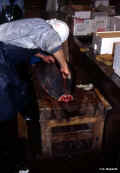 tokio_tsukiji_tonni3.jpg (38510 byte)
