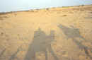 deserto1.jpg (26121 byte)