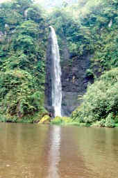 tahiti_cascata.jpg (14632 byte)