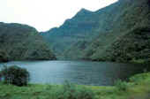 tahiti_montagne.jpg (8107 byte)