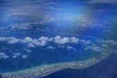 tikehau2.jpg (62157 byte)