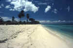 playa_saona.jpg (51240 byte)