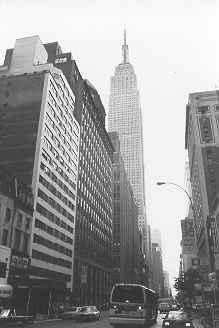 ny7.jpg (12598 byte)